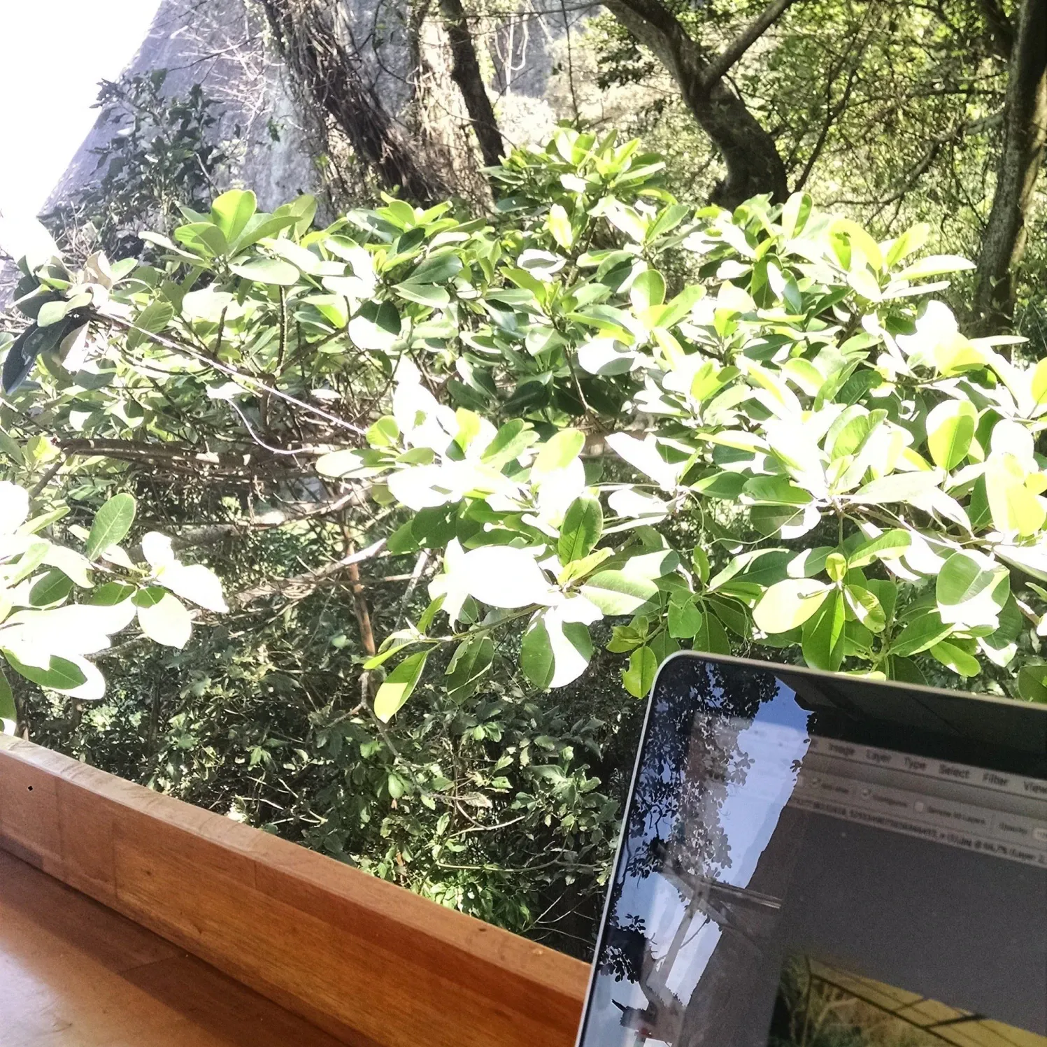 Sky Flower Restaurant